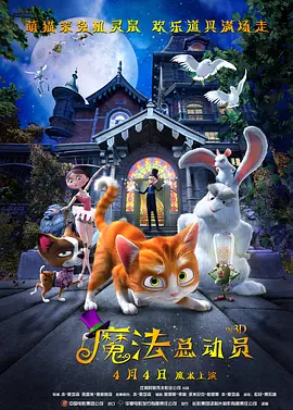 久久精品视频3
